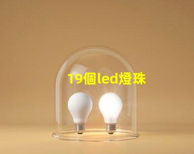 19個led燈珠