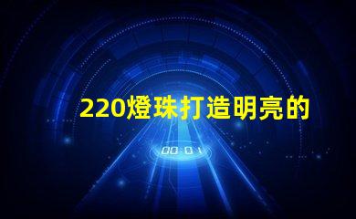 220燈珠打造明亮的照明環境