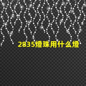 2835燈珠用什么燈具好