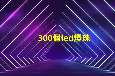 300個led燈珠