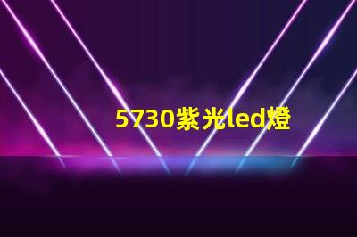 5730紫光led燈珠