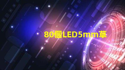 80個LED5mm草帽燈珠配多大驅動器？
