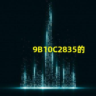 9B10C2835的燈珠用多少W的電源