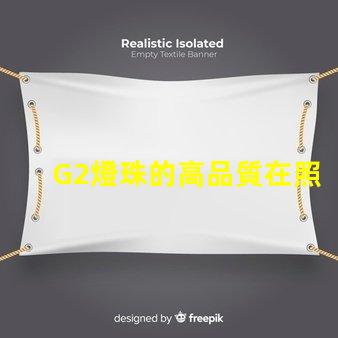 G2燈珠的高品質在照明行業中備受認可