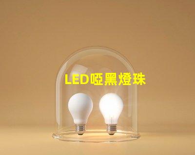 LED啞黑燈珠