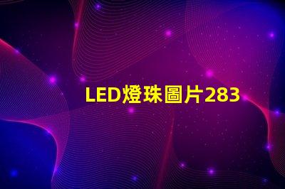 LED燈珠圖片2835