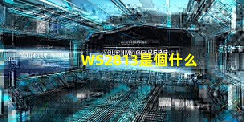 WS2813是個什么玩意？