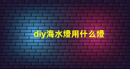 diy海水燈用什么燈珠