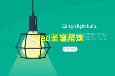 led圣誕燈珠