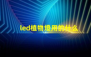 led植物燈用的什么燈珠