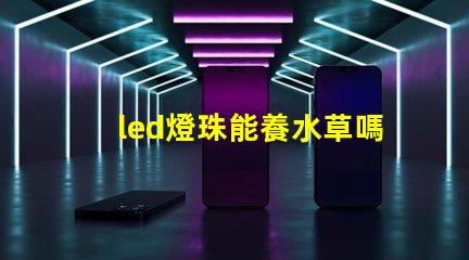 led燈珠能養水草嗎