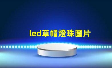 led草帽燈珠圖片
