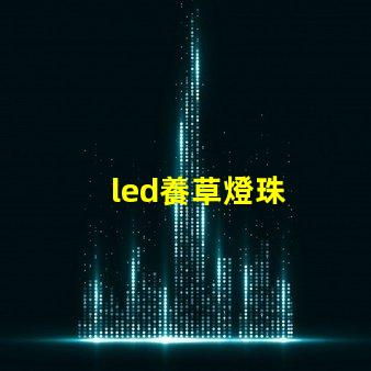 led養草燈珠