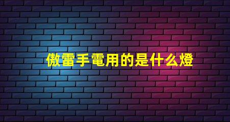 傲雷手電用的是什么燈珠