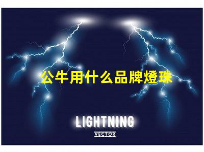 公牛用什么品牌燈珠