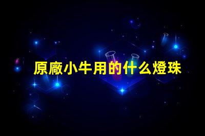 原廠小牛用的什么燈珠