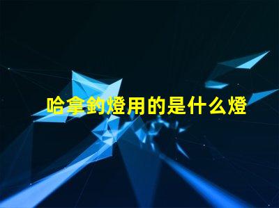 哈拿釣燈用的是什么燈珠