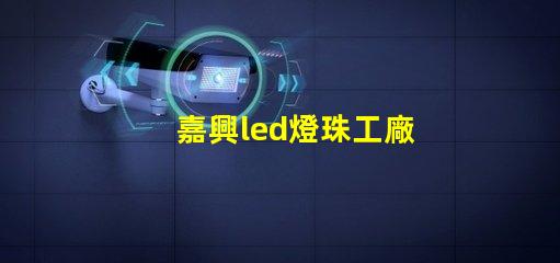 嘉興led燈珠工廠