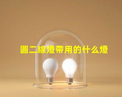 圓二線燈帶用的什么燈珠