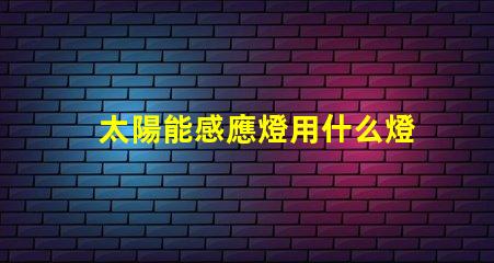 太陽能感應燈用什么燈珠