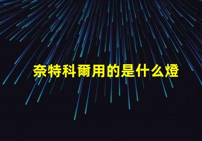 奈特科爾用的是什么燈珠
