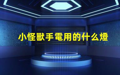 小怪獸手電用的什么燈珠