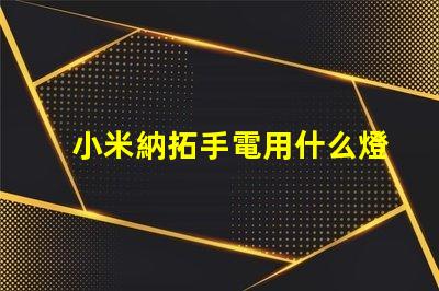 小米納拓手電用什么燈珠