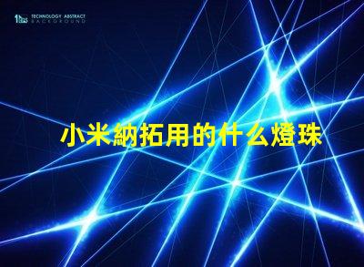 小米納拓用的什么燈珠