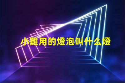 小雞用的燈泡叫什么燈珠