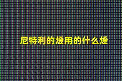 尼特利的燈用的什么燈珠