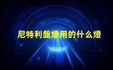尼特利盤燈用的什么燈珠