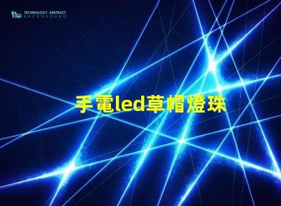 手電led草帽燈珠