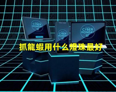 抓龍蝦用什么燈珠最好