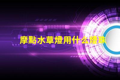 摩點水草燈用什么燈珠