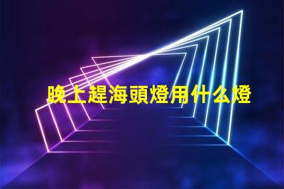 晚上趕海頭燈用什么燈珠