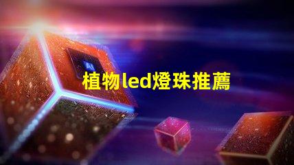 植物led燈珠推薦