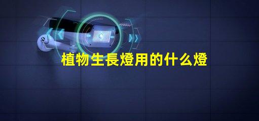 植物生長燈用的什么燈珠