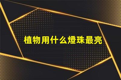 植物用什么燈珠最亮