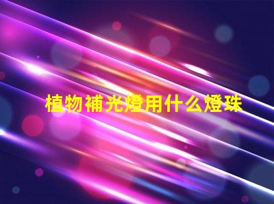 植物補光燈用什么燈珠