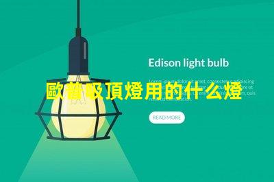 歐普吸頂燈用的什么燈珠