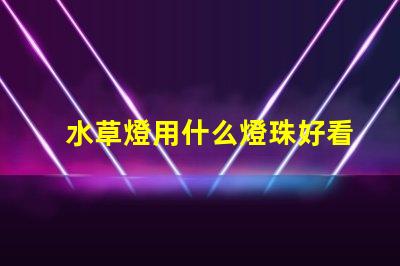水草燈用什么燈珠好看