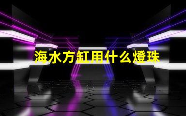 海水方缸用什么燈珠