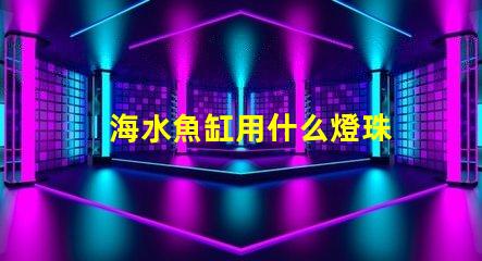 海水魚缸用什么燈珠