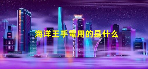 海洋王手電用的是什么燈珠