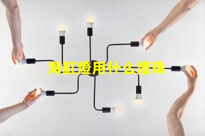 海缸燈用什么燈珠