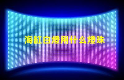 海缸白燈用什么燈珠