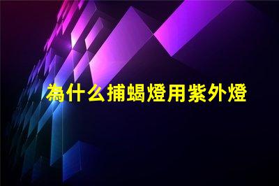 為什么捕蝎燈用紫外燈珠