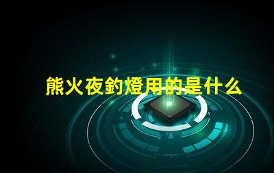 熊火夜釣燈用的是什么燈珠