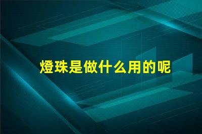 燈珠是做什么用的呢