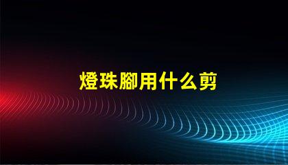 燈珠腳用什么剪